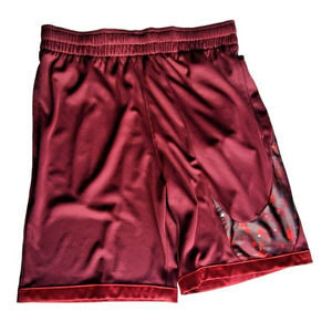 Nike Dri Fit - Standard Fit Shorts‎ Size L